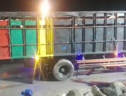 Tak Tahu Kuota Habis, Karantina Loloskan Pengiriman Sapi Bali ke Jawa