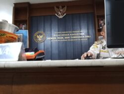 Begini Aksi Kucing-Kucingan Pelaku Pengiriman Sapi Bali ke Jawa Saat Kuota Telah Habis