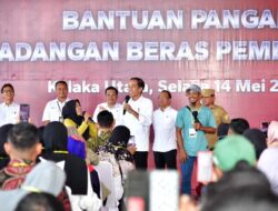 Pj. Gubernur Sultra Dampingi Presiden Jokowi Serahkan Bantuan Pangan bagi Masyarakat di Kolaka Utara