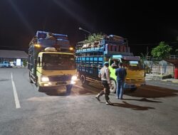 Mantap…! Penyelundupan Ratusan Babi Ilegal dari Bali ke Jawa Digagalkan Petugas Karantina