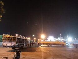 Diduga Korupsi Kuota Sapi-Sapi Keluar Bali Ada Tanpa Ear Tag, Karantina Ogah Periksa Secara Acak