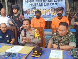 Dua Pelaku Penyelundup Belasan Penyu Hijau Ditangkap