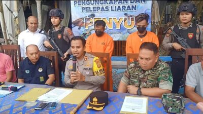 Dua Pelaku Penyelundup Belasan Penyu Hijau Ditangkap