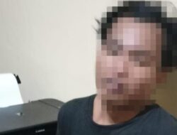 Tersangka Penyelundupan Penyu yang Melarikan Diri Ditangkap