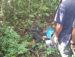 Warga Jembrana Ditemukan Meninggal di Hutan Sepang