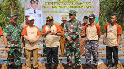 Pj. Gubernur Samsudin Tanam Cabai di Lampung Timur, Dimulainya Gerakan Tanam Cabai dalam Rangka Pengendalian Inflasi Pangan di Provinsi Lampung