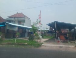 Araaaah Kadeeee….! Lokasi Kandang Simantri Kini Jadi Pasar Desa, Sapi-Sapi Raib Ditelan Bumi
