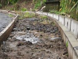 Tak Kunjung Kelar, Proyek Pemeliharaan Jalan Kabupaten di Yehsumbul Dikeluhkan