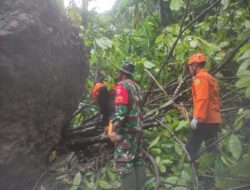 Amor Ing Acintya, Tiga Warga Klungkung Tewas Tertimpa Longsoran Batu Besar Akibat Hujan Deras