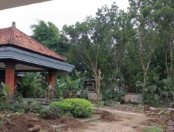 Ada Aksi Bongkar Tanaman di RJB Tanpa Ijin Bupati, Kabag Umum Pemkab Jembrana “Bongol” Saat Dikonfirmasi