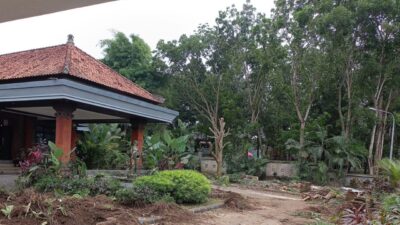 Ada Aksi Bongkar Tanaman di RJB Tanpa Ijin Bupati, Kabag Umum Pemkab Jembrana “Bongol” Saat Dikonfirmasi