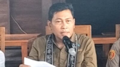 Aksi Penyelundupan Penyu Hijau Marak, Balai KSDA Bali Angkat Tangan Putus Induk Semang