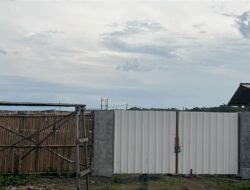 Desa Tolak Pembangunan Tambak Udang di Tanah Negara, Bupati Diminta Segera Menutup