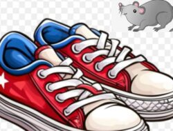 Bau Amis Pengadaan Sepatu Seragam di SMK TP45, Kepsek Minta Jangan Memuat Berita Negatif