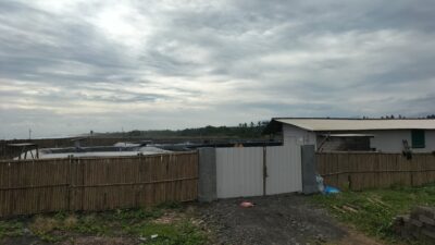 Pol PP Jembrana Segel Tambak Udang di Tanah Negara, Warga Minta Desa Tutup Akses Jalan