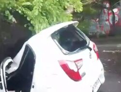 Pengendara Mobil yang Tertimpa Pohon di Kuta Ternyata Baru Seminggu di Bali
