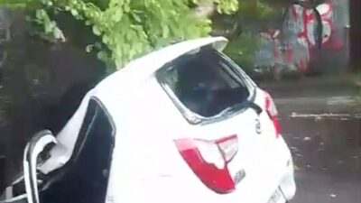 Pengendara Mobil yang Tertimpa Pohon di Kuta Ternyata Baru Seminggu di Bali