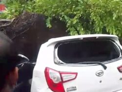 Mih Dewa Ratu…! Bali Dilanda Angin Kencang, Pohon Tumbang Timpa Mini Bus