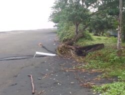 Mimih Dewa Ratu…! Tambak Udang di Pesisir Delod Berawah Ternyata Buang Limbah Sembarangan