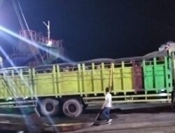 Dituding Lambat Bekerja, Begini Penjelasan Balai Besar Veteriner Denpasar