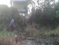 Duuh… Tambak Udang di Candikusuma Ternyata Buang Limbah Sembarangan Warga Sekitar Protes, Perbekel Ngaku Tak Tahu Apa-Apa