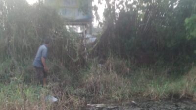 Duuh… Tambak Udang di Candikusuma Ternyata Buang Limbah Sembarangan Warga Sekitar Protes, Perbekel Ngaku Tak Tahu Apa-Apa