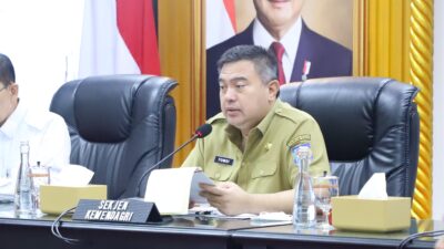 Pemerintah Minta Pemda Optimalisasi Sawah Tadah Hujan untuk Swasembada Pangan