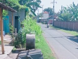 Warga Gilimanuk Protes, Bau Busuk hingga Truk Ternak Ngebut Ancam Keselamatan