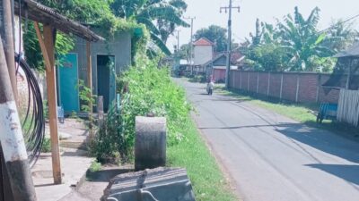 Warga Gilimanuk Protes, Bau Busuk hingga Truk Ternak Ngebut Ancam Keselamatan