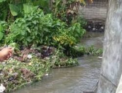 Mih Dewa Ratu…! Ada Perusahan Asing Buang Limbah ke Sungai Kerobokan, LSM Jarrak Bali Minta Polisi Menindak