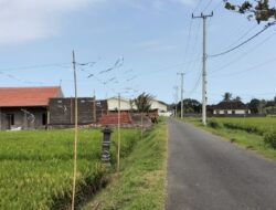 Jalan Kabupaten Menuju Pabrik Mitra Prodin Segera Diperluas, Sawah Kena Jalur Akan Diurug