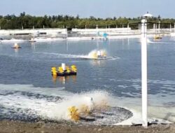 Yeeh…! Puluhan Sumur Warga Yehembang Alami Kekeringan Diduga Dampak Sumur Bor Tambak Udang