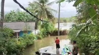 Puluhan Pengusaha Tambak di Jembrana Merugi Puluhan Milyar Akibat Banjir