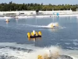 Mimih Dewa Ratu…! Puluhan Warga Yehembang Hingga Kini Masih Krisis Air Bersih Dampak dari Tambak Udang