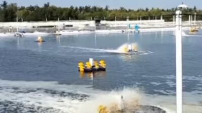 Mimih Dewa Ratu…! Puluhan Warga Yehembang Hingga Kini Masih Krisis Air Bersih Dampak dari Tambak Udang