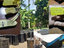 Membongkar Praktik Ilegal Aspal Curah “Kencing” di Wilayah Bali Barat, Ternyata Ini Biang Keroknya