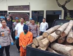 Kedapatan Angkut Kayu dari Hutan, Seorang Peternak di Jembrana di Juk Polisi