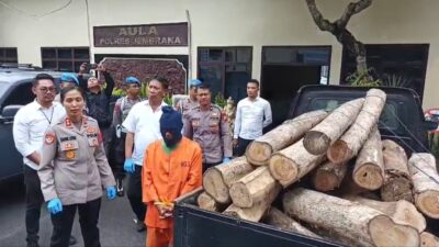 Kedapatan Angkut Kayu dari Hutan, Seorang Peternak di Jembrana di Juk Polisi