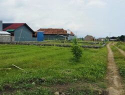 Mih Dewa Ratu…! Banyak Lahan Persawahan Produktif di Penyaringan Beralih Fungsi, Dewan Buta Tuli