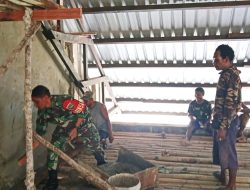 Kompak dengan Jemaat, Babinsa Bantu Plester Dinding Gereja