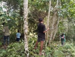 Dorong Swasembada Pangan, Babinsa Warsa Bantu Warga Buka Lahan Perkebunan