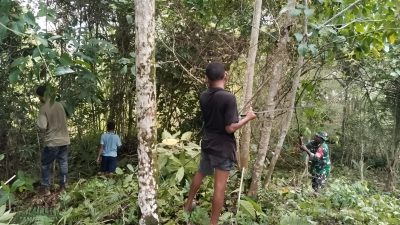 Dorong Swasembada Pangan, Babinsa Warsa Bantu Warga Buka Lahan Perkebunan