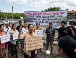 Mangrove Dipertaruhkan, Rakyat Bergerak: Dukungan Mengalir untuk Pansus TRAP