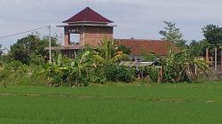 Alih Fungsi LSD Marak, Pengurus Subak Jagaraga Mesadu ke Dinas PUPR Minta Segera Ditertibkan