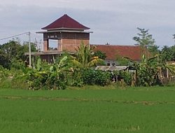 Alih Fungsi LSD Marak, Pengurus Subak Jagaraga Mesadu ke Dinas PUPR Minta Segera Ditertibkan