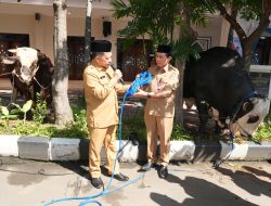 Perkuat Kepedulian Sosial, Mendagri Serahkan Hewan Kurban Kemendagri dan BNPP