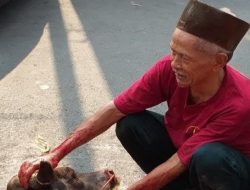 Usia Boleh Tua, Semangat Tak Pernah Pudar: Pak Rosyid Sang Juru Sembelih Kurban Musholla Nurul Mu’min Tebet 