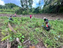 Babinsa Numfor Dampingi Warga Panen Semangka di Kampung Kornasoren