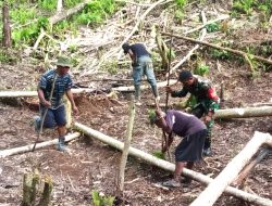Dukung Petani Lokal, Babinsa Ikut Tanam Cabai Bersama Warga Binaan
