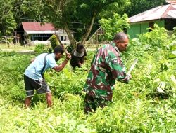 Aksi Babinsa Jadi Penyemangat Petani